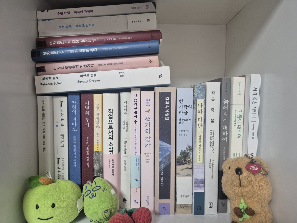 물까치 tweet media