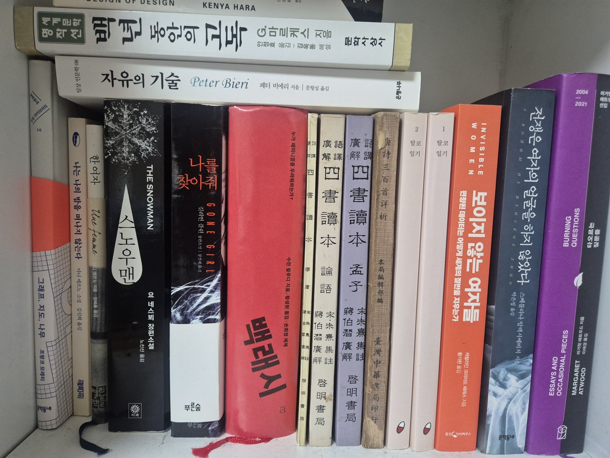 물까치 tweet media