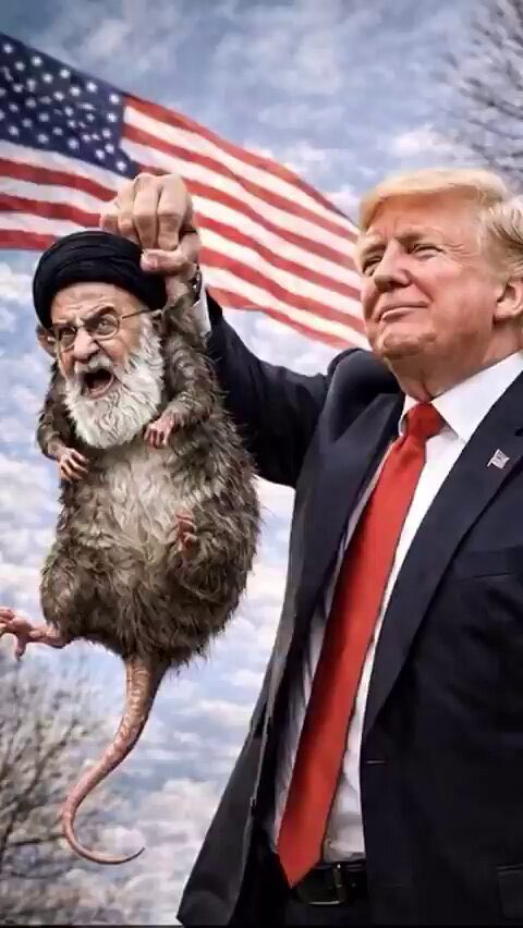 صافي الود tweet media