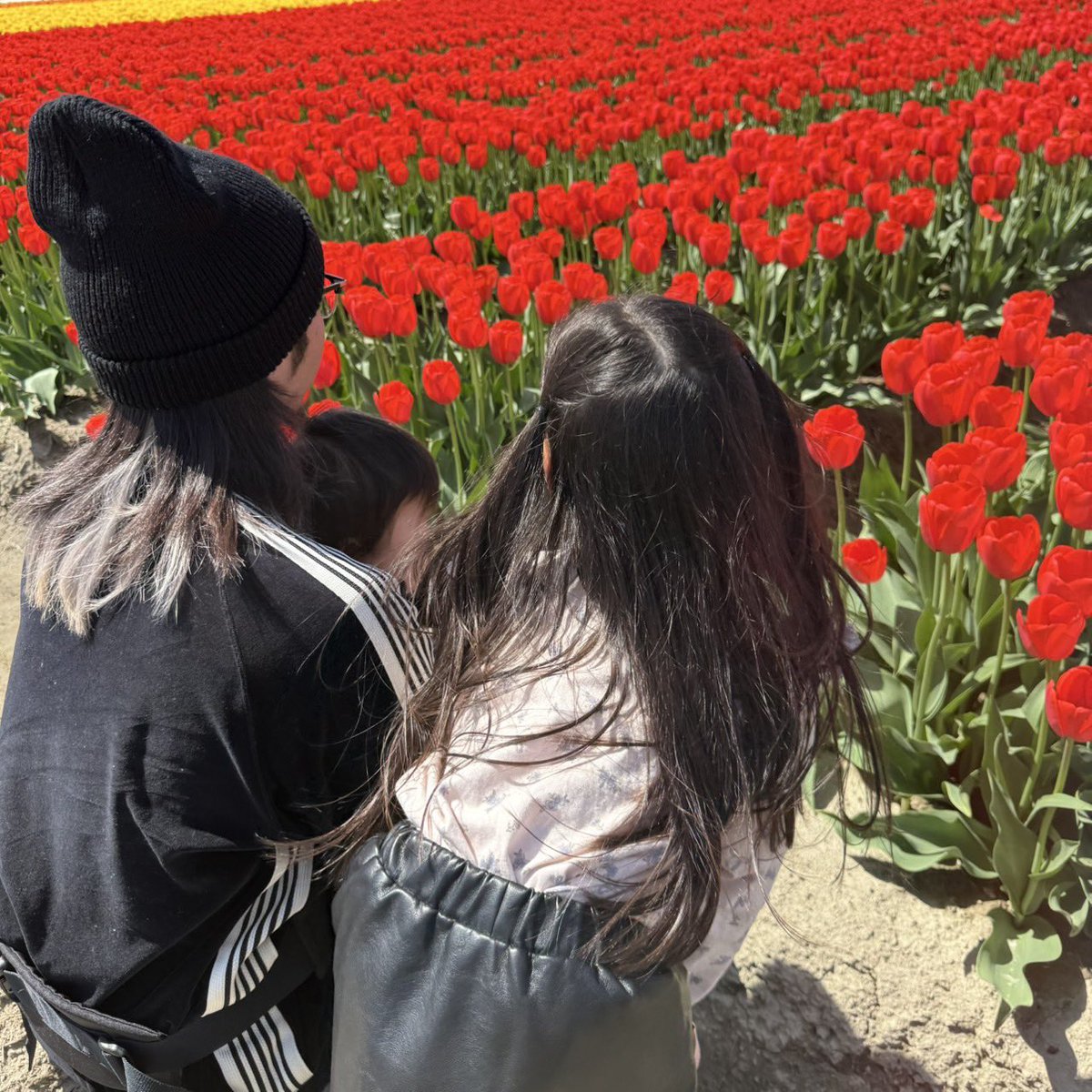 nepethes. tweet media