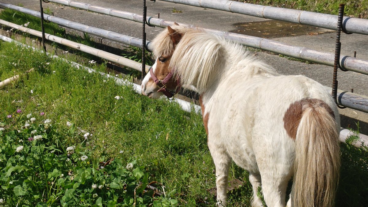 ぼんくら tweet media