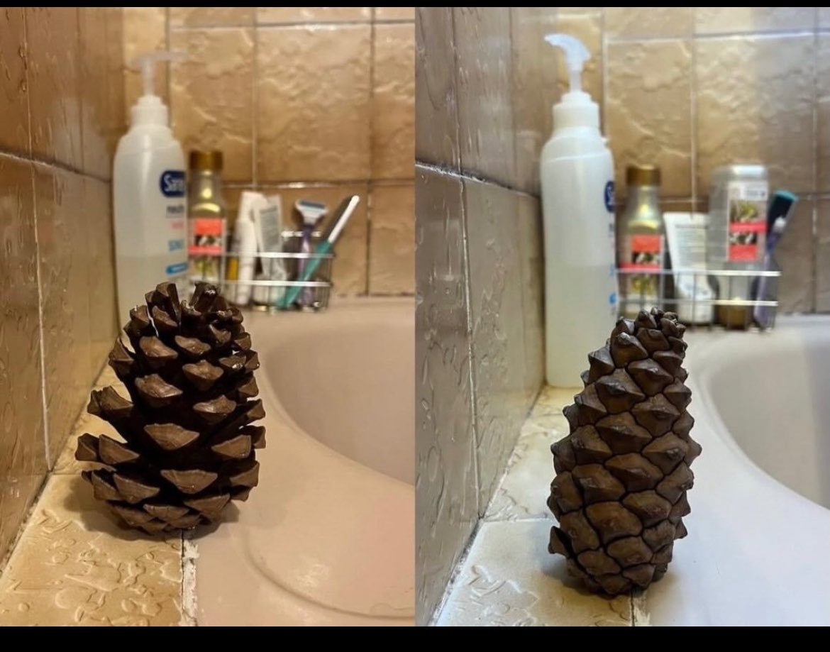 ᴅᴇsᴛᴀɴsıᴢ ᴇʙʀᴜ tweet media