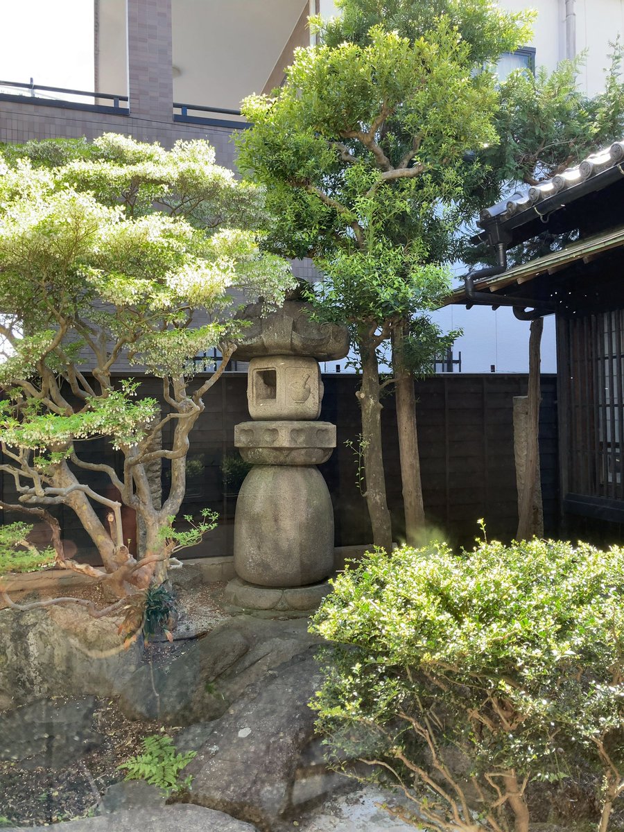 M's Junction(エムジャン) tweet media