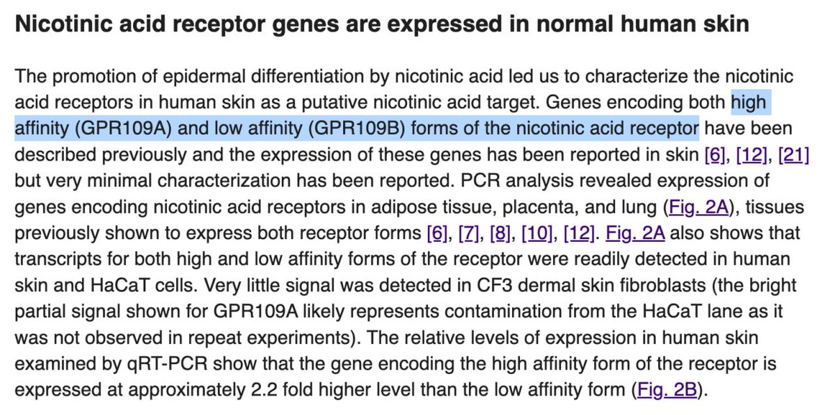 HOM3OSTASIS.com tweet media