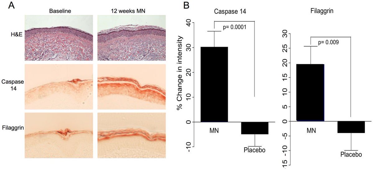 HOM3OSTASIS.com tweet media