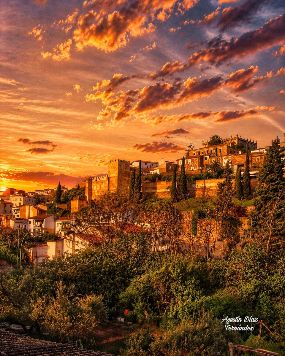 𝔄𝔤𝔲𝔰𝔱𝔦𝔫 𝔇𝔦𝔞𝔷 𝔉𝔢𝔯𝔫𝔞𝔫𝔡𝔢𝔷 tweet media