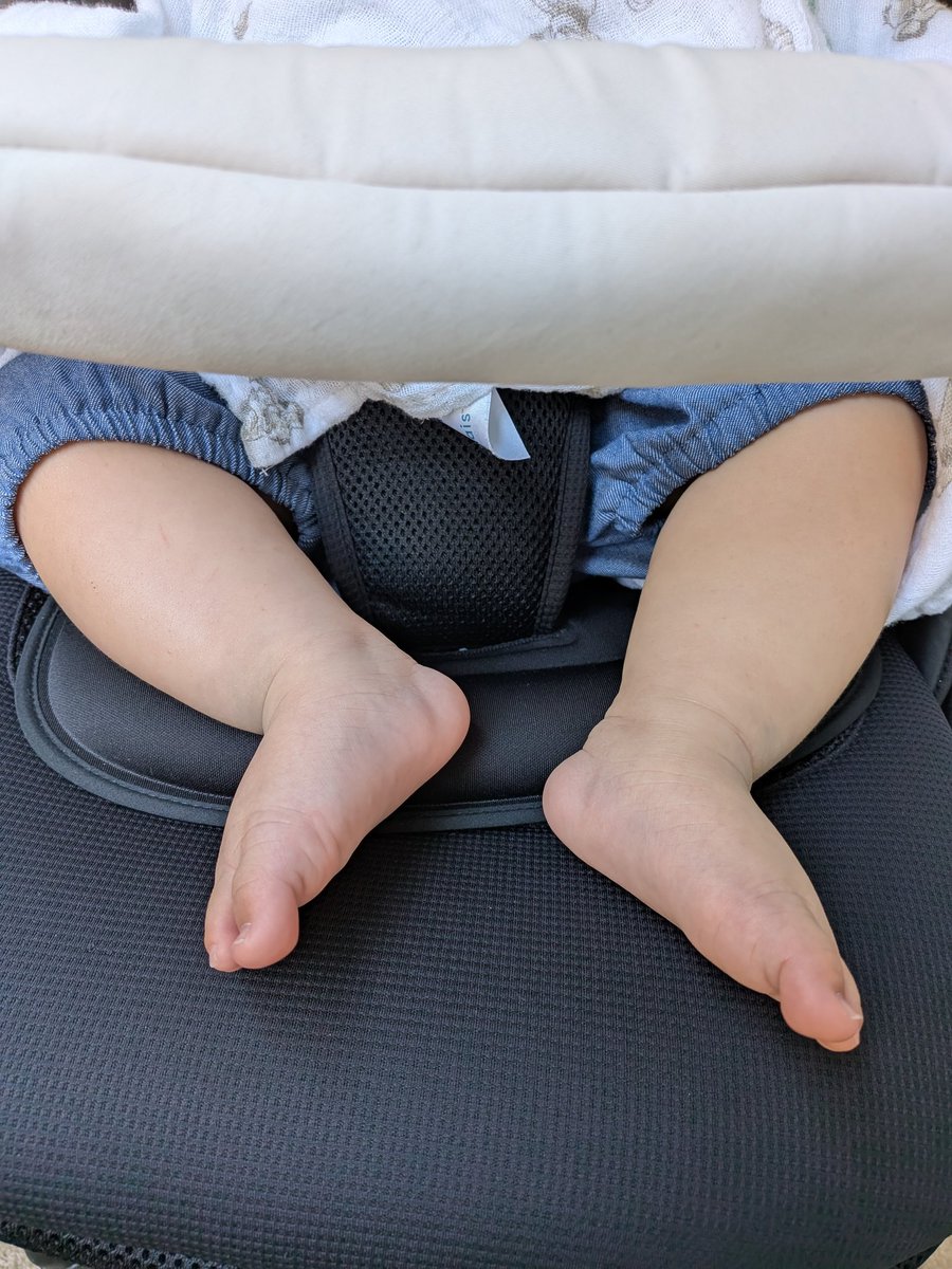 みゃお tweet media