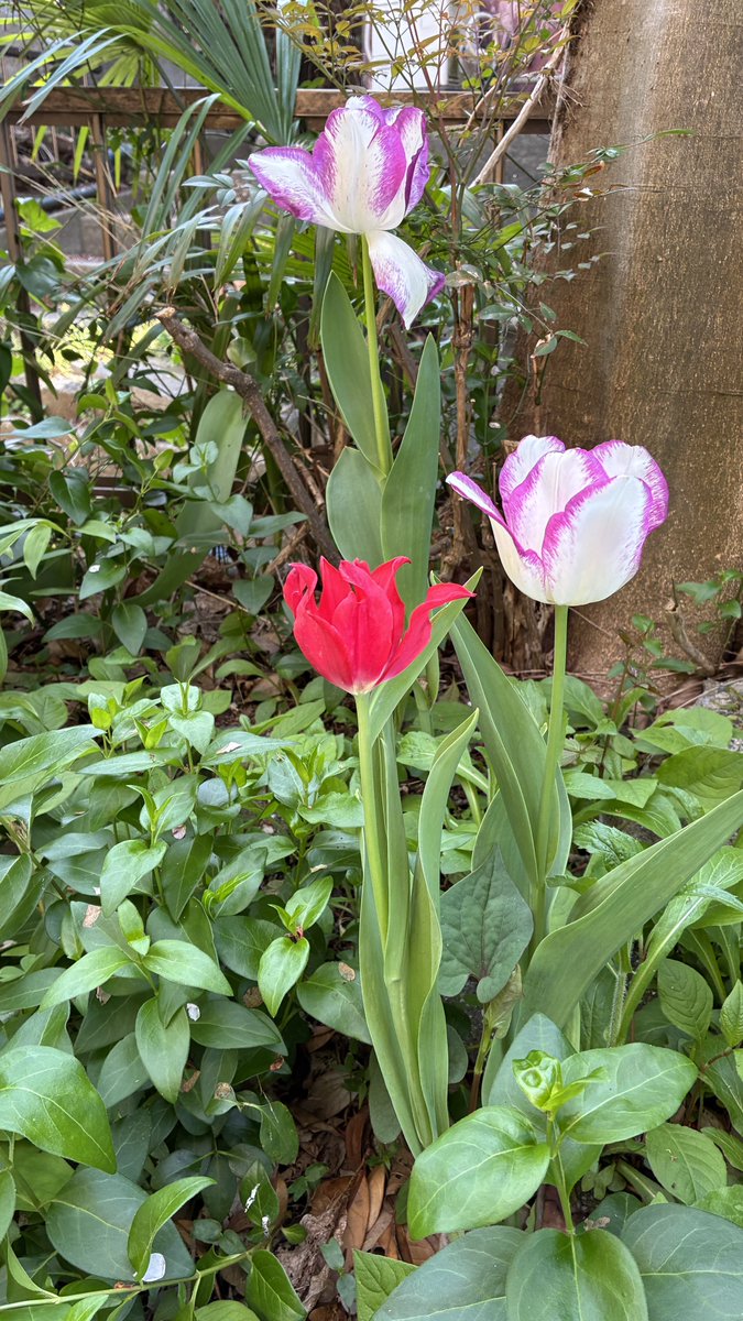 青木光恵👙 tweet media