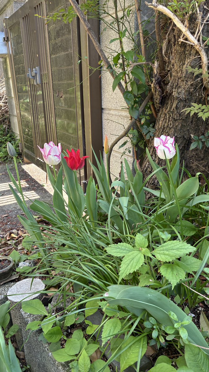 青木光恵👙 tweet media