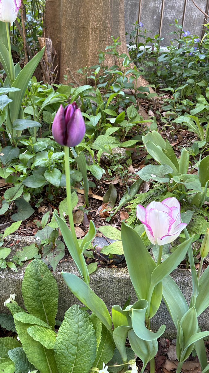 青木光恵👙 tweet media