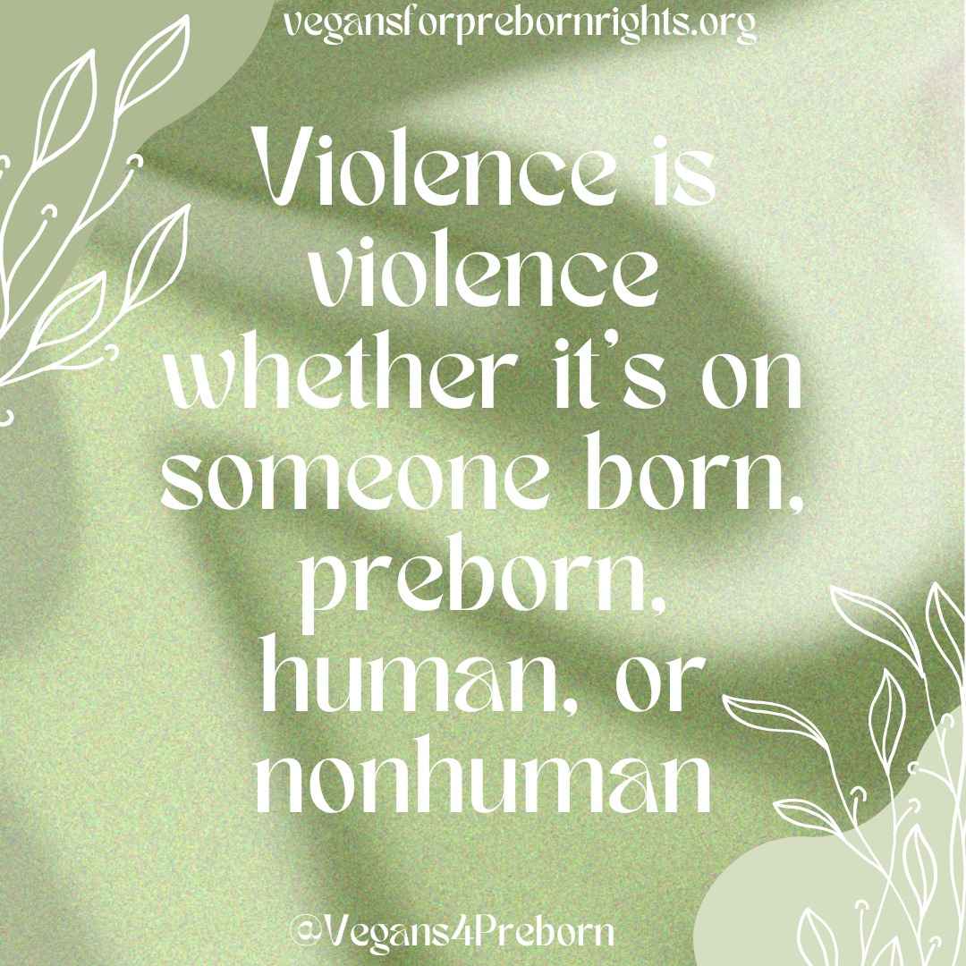 Supporting nonviolence shouldn't include exceptions

#vegan #prolife #peace #nonviolence #totalliberation