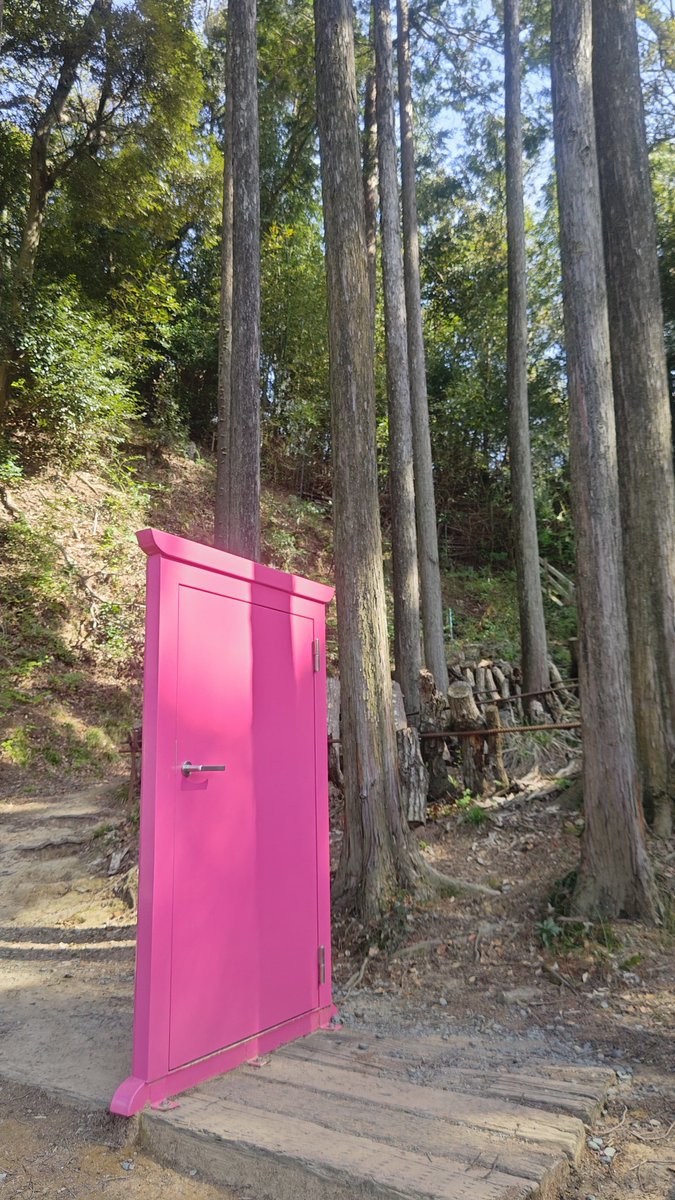 ぼんくら tweet media