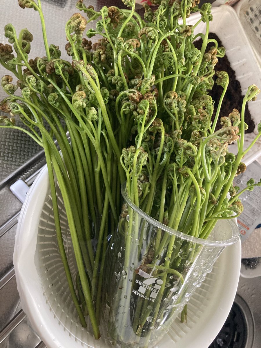 あい♂いつもはらぺこ tweet media