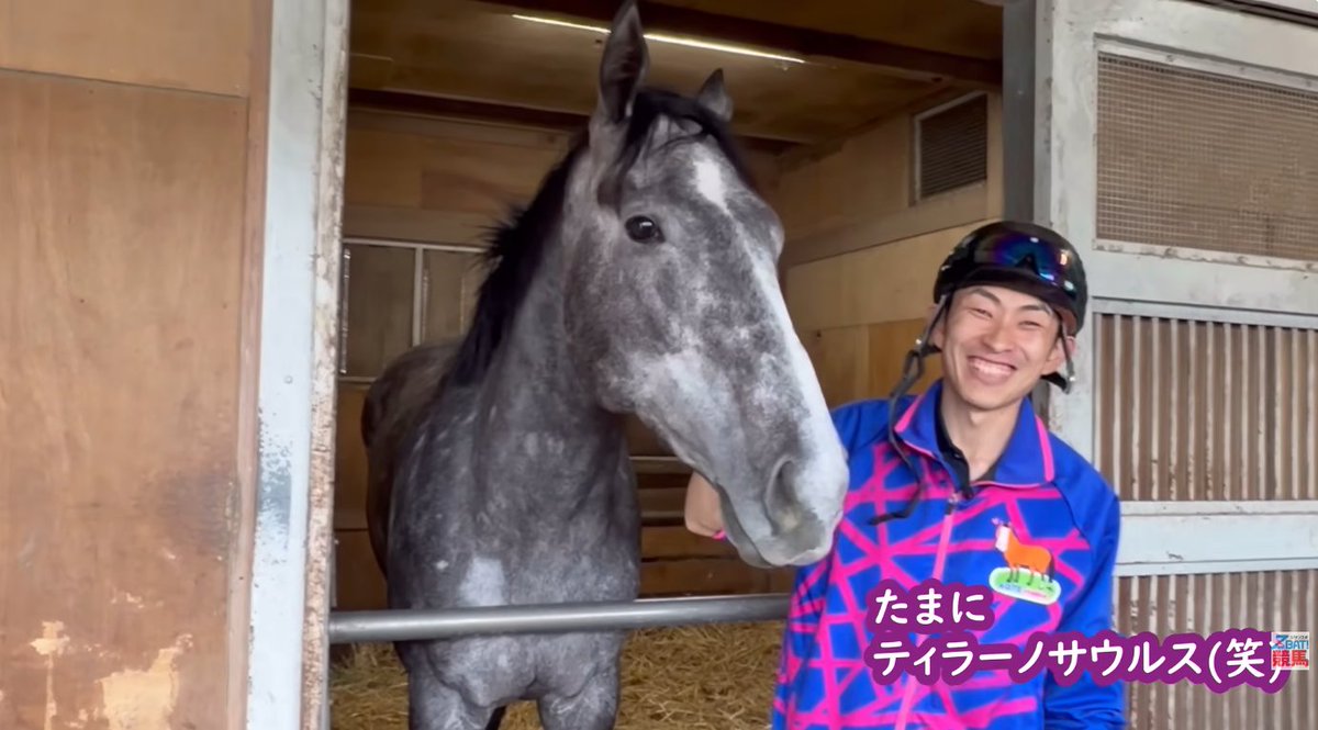 サンスポZBAT!競馬 tweet media