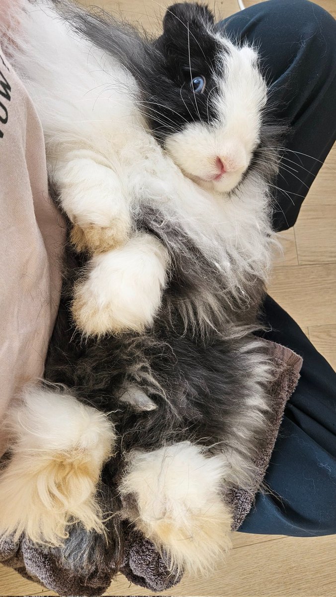 らいせ tweet media