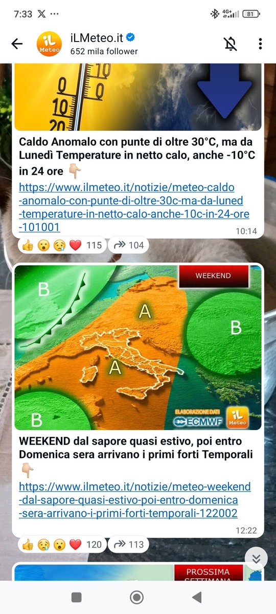 marilena gasbarri tweet media