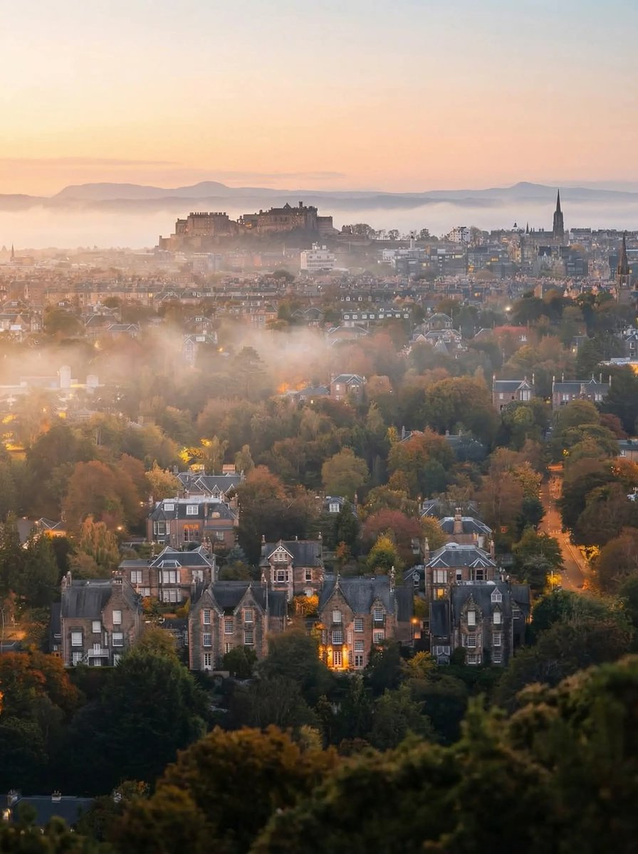 Seascape Nature tweet media