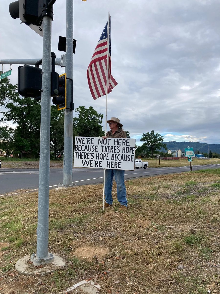 Ted & Lyn tweet media