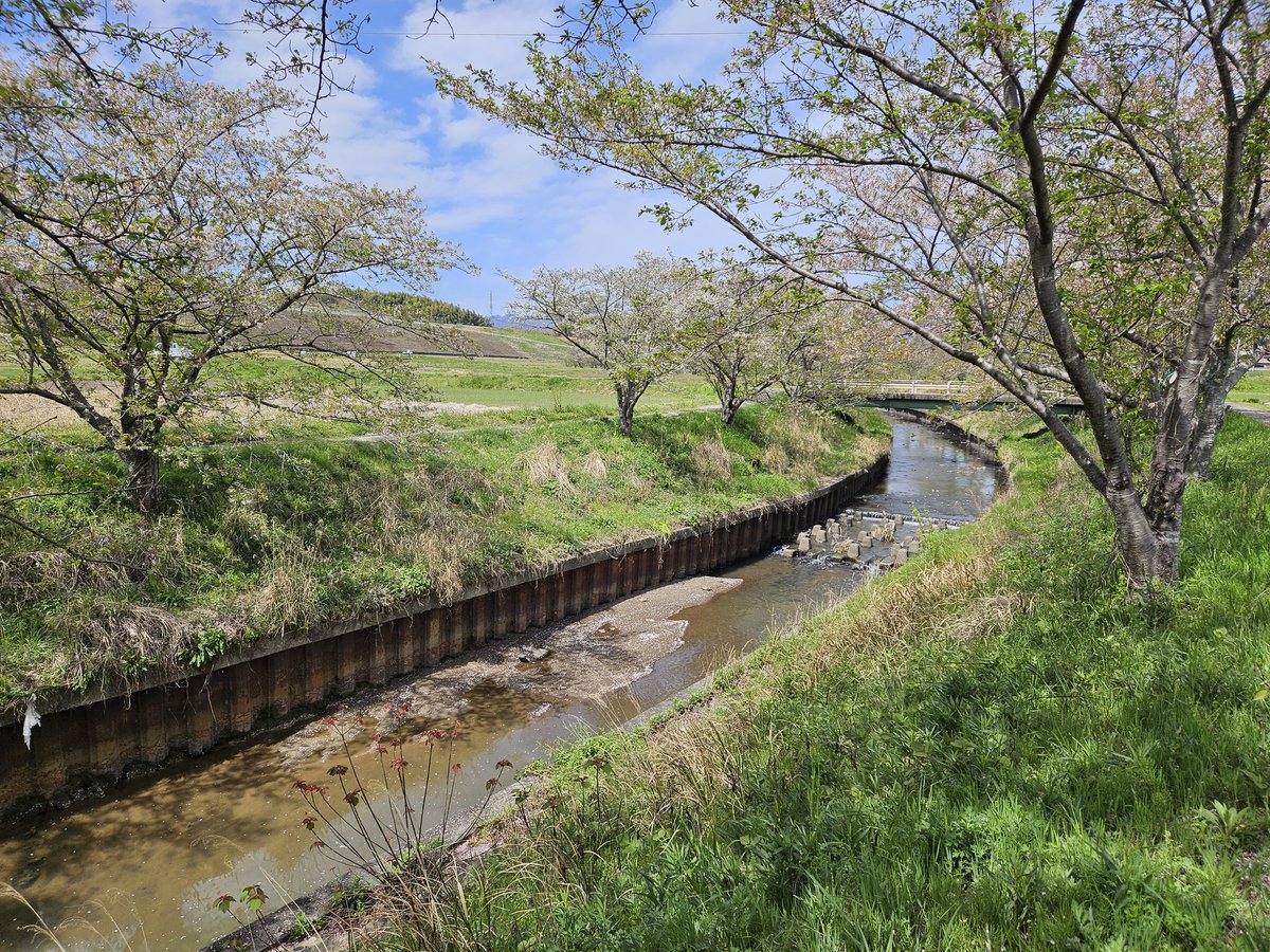 気持ち良くお散歩してきた💓