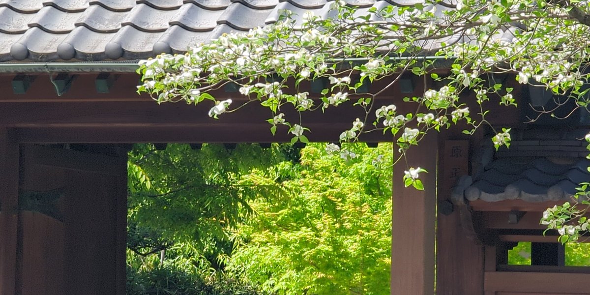 nagisaboys's tweet photo. 小杉宿のあたり #runandwalk #街道歩き #中原街道 https://t.co/kkpmGoD3tJ