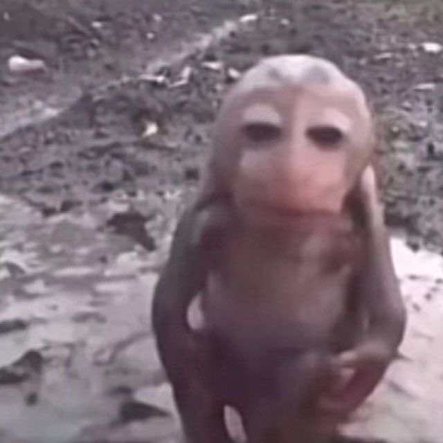 ตตรักพิ่เอนไก่ที่สุ้ดมากกว่าพระอาทิตย์โคจรโลก🪷 ♪ tweet media