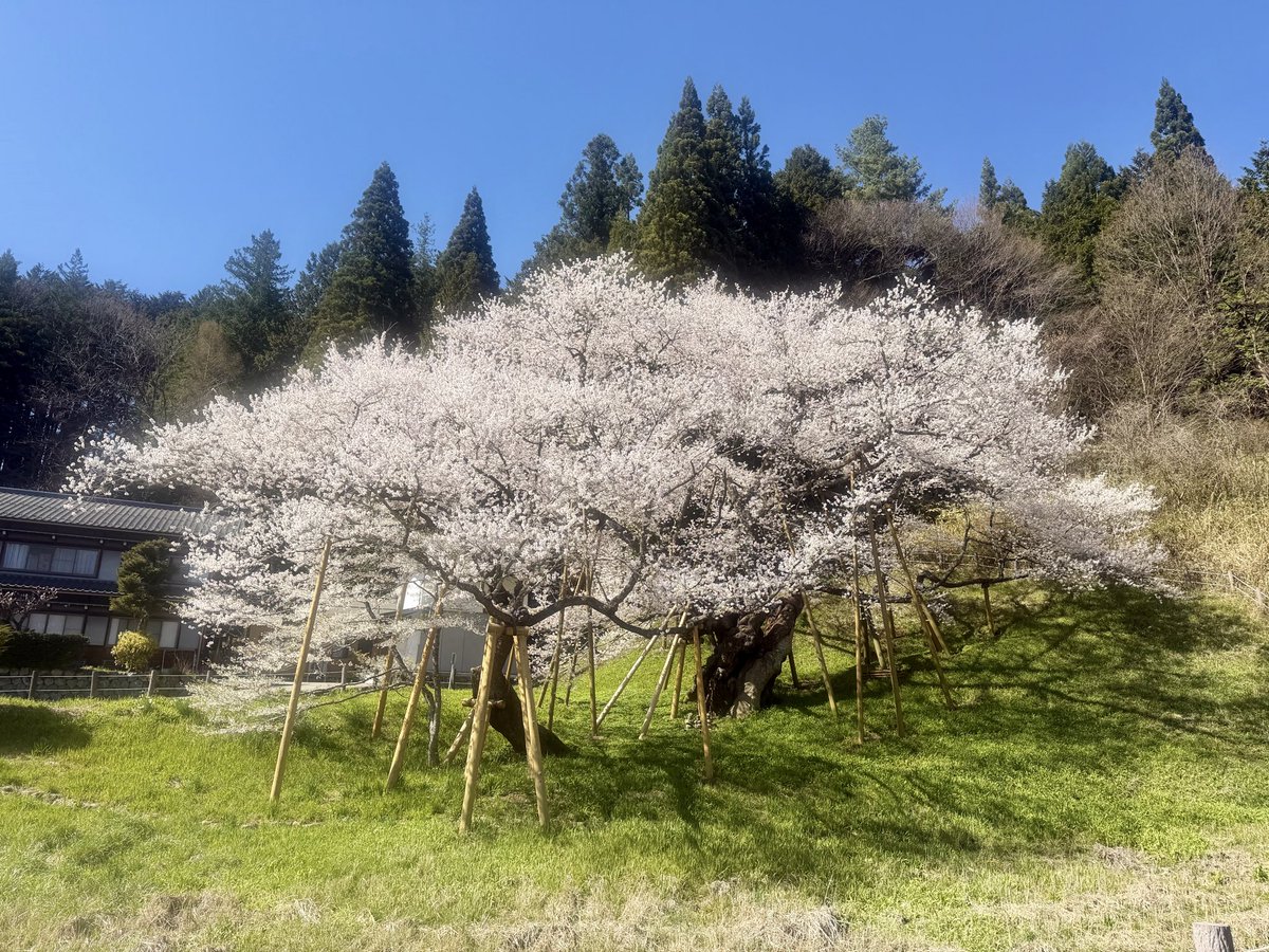 飛騨高山ライブカメラ管理人 tweet media