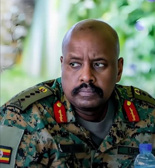 Voice of Hindus tweet media