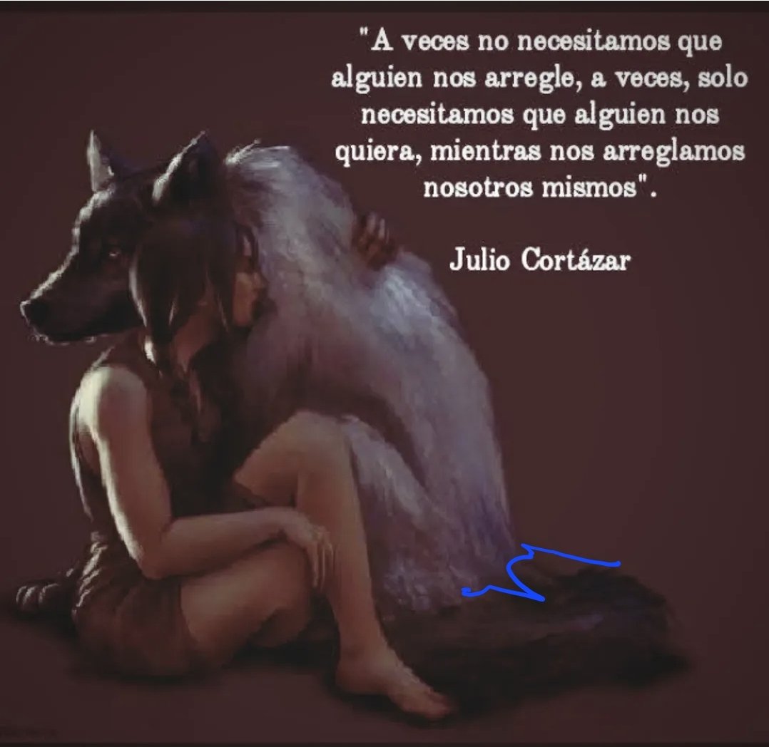 YovyML💞 tweet media