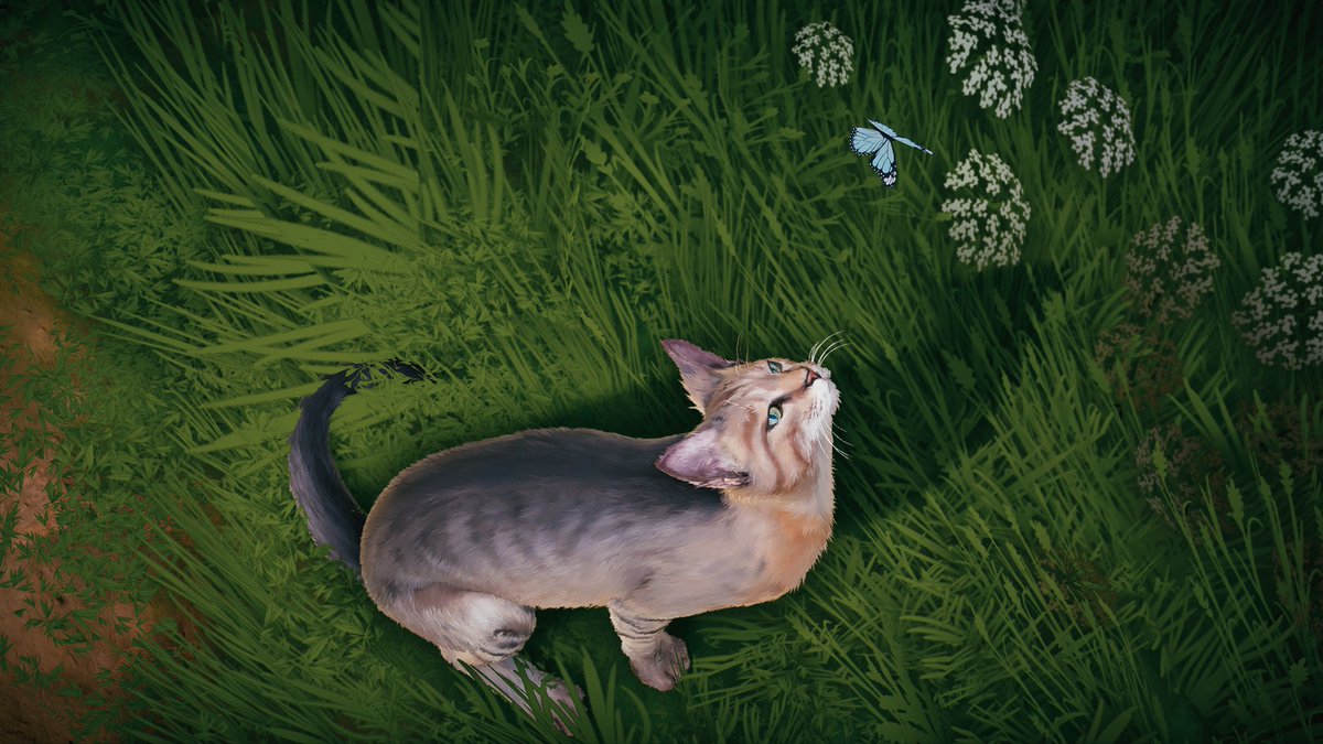 spread_her_wing's tweet photo. curiosity
#SeclusaPhotoContest #cutestkitty #seclusa #virtualphotography https://t.co/keFlT4VvMO