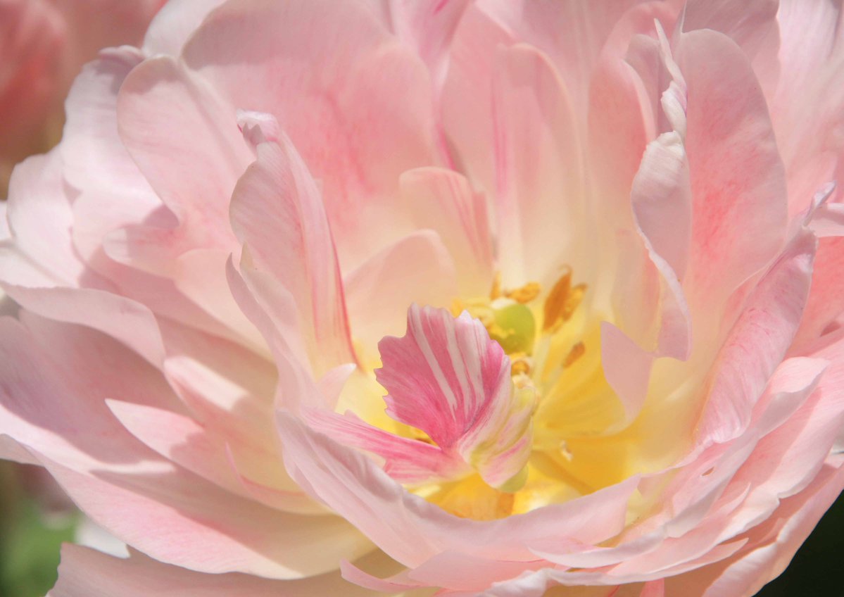 片柳弘史 tweet media