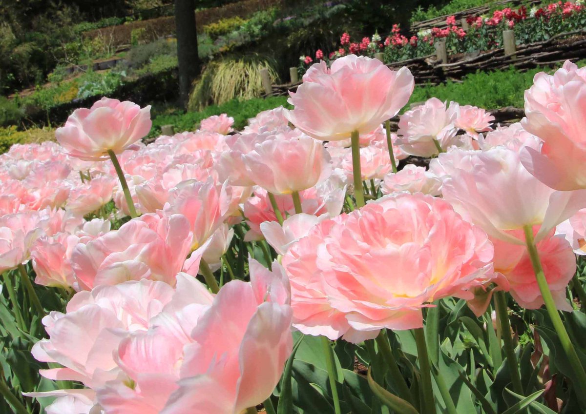 片柳弘史 tweet media