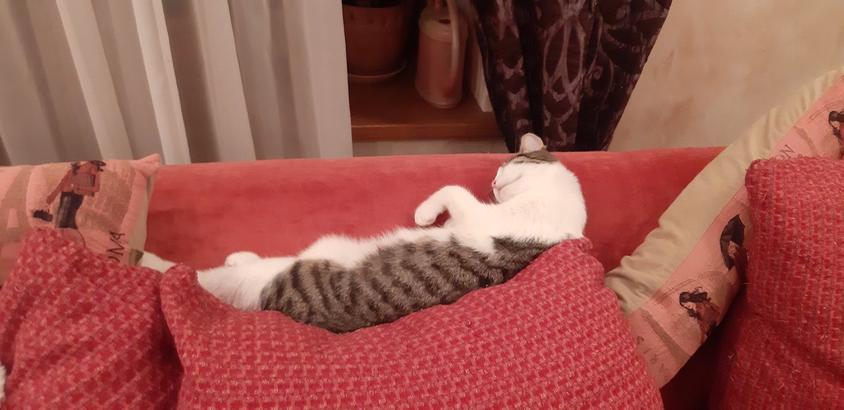 чудик-пришелец, оказавшийся не в том мире tweet media