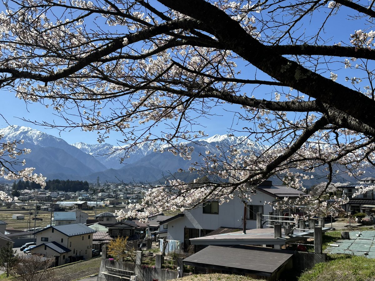 たんぬ茸 tweet media