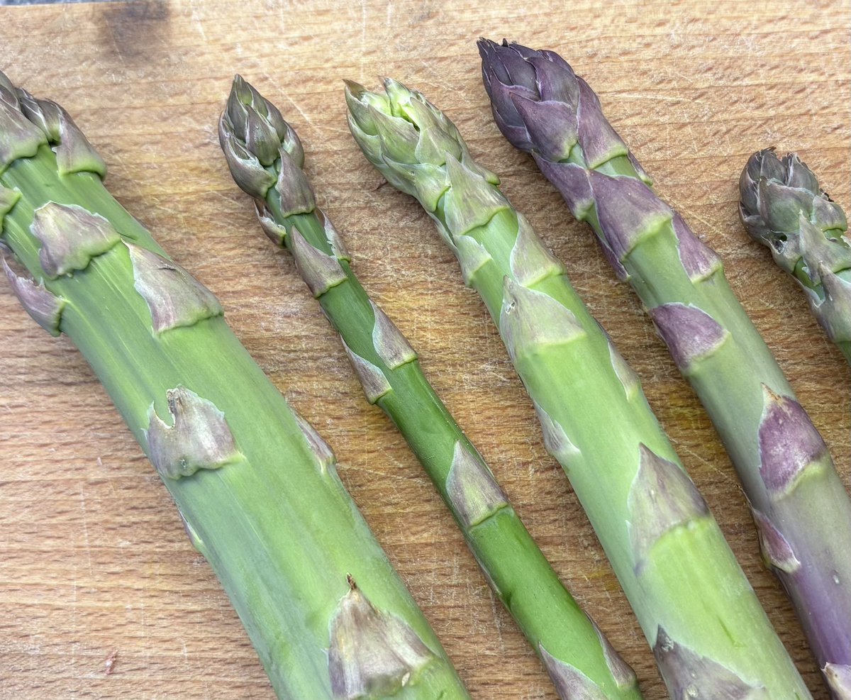 Bart Neirynck senior tweet media