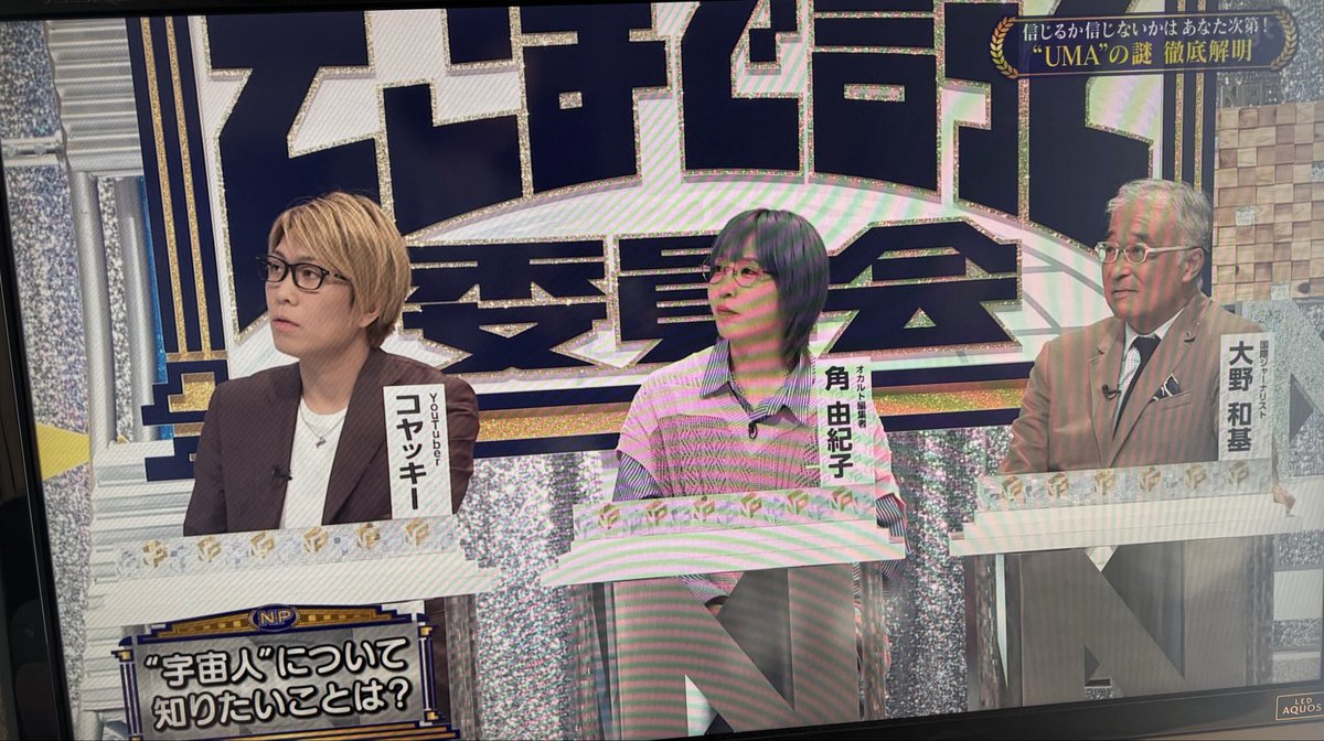 まりも🌏🌻 tweet media