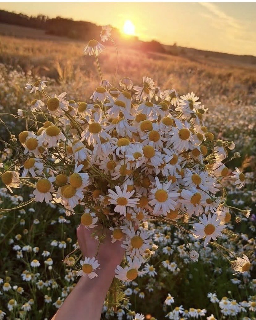 Günaydın mutlu güzel pazarlar ☕️🌺🤗🎶🎶