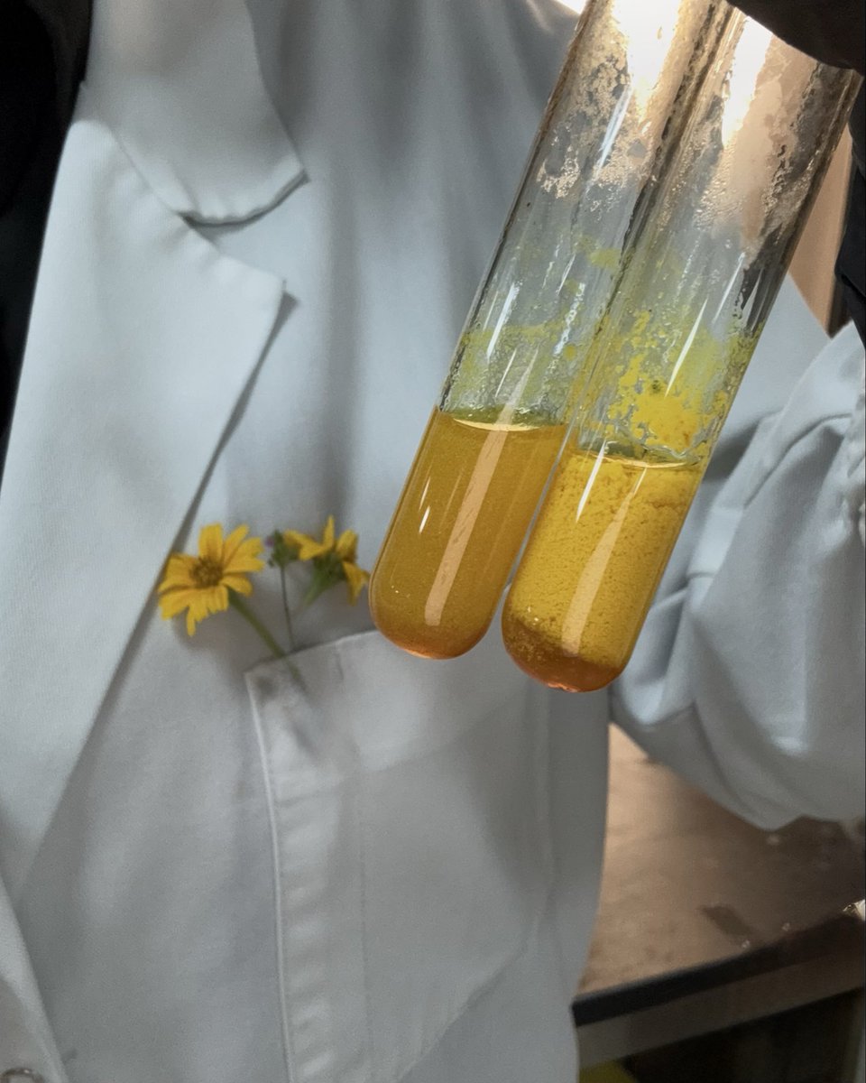 Dreamy girl tweet media