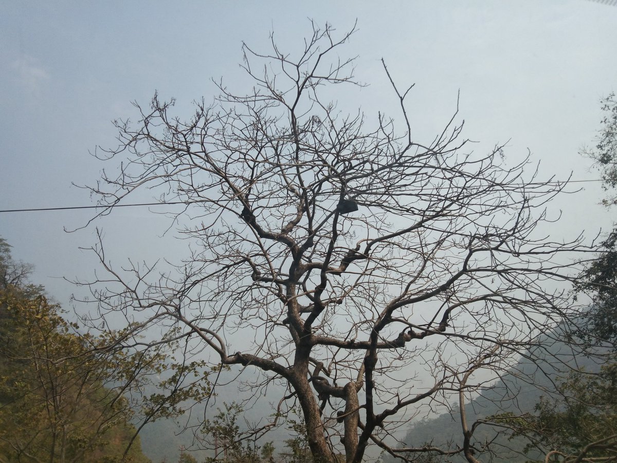 IONBZS's tweet image. No filter needed. just A click. #NoCaption