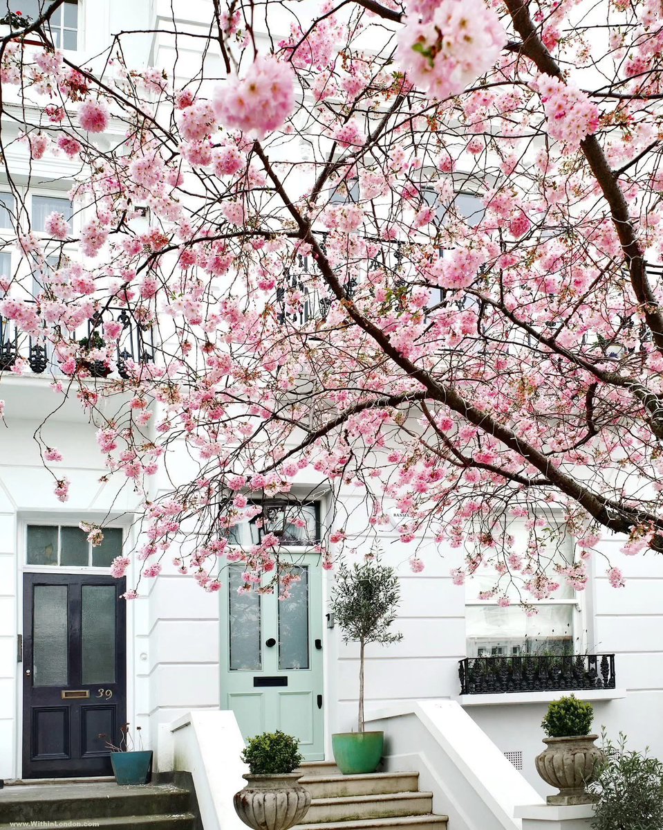 Aesthetics tweet media