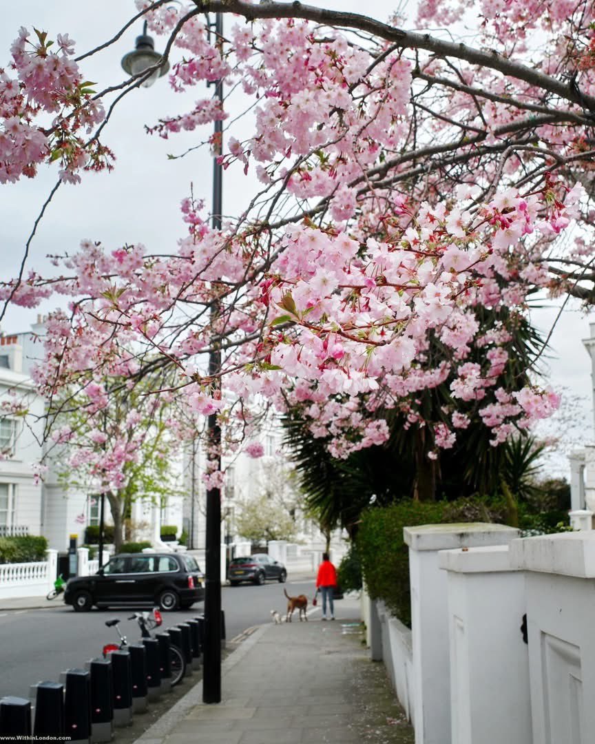 Aesthetics tweet media