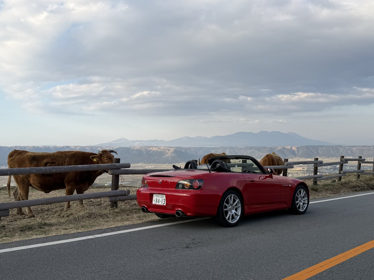 たーもん tweet media