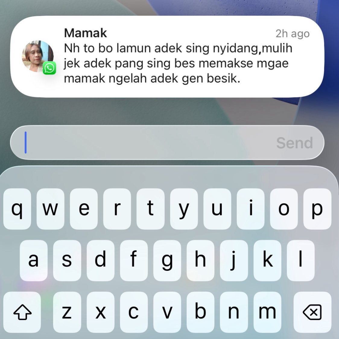 manusia ikan tweet media