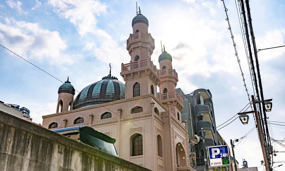 コスモス🥝 tweet media