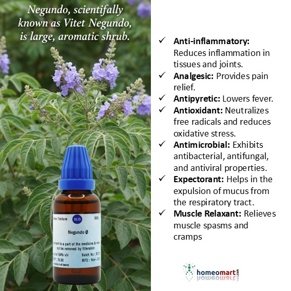 Relieve joint pain, swelling &amp; stiffness naturally with this time-tested herbal remedy. A gentle yet effective support for inflammation, muscle aches &amp; mobility—nature’s way to keep you moving strong 💪✨ rebrand.ly/vitexN