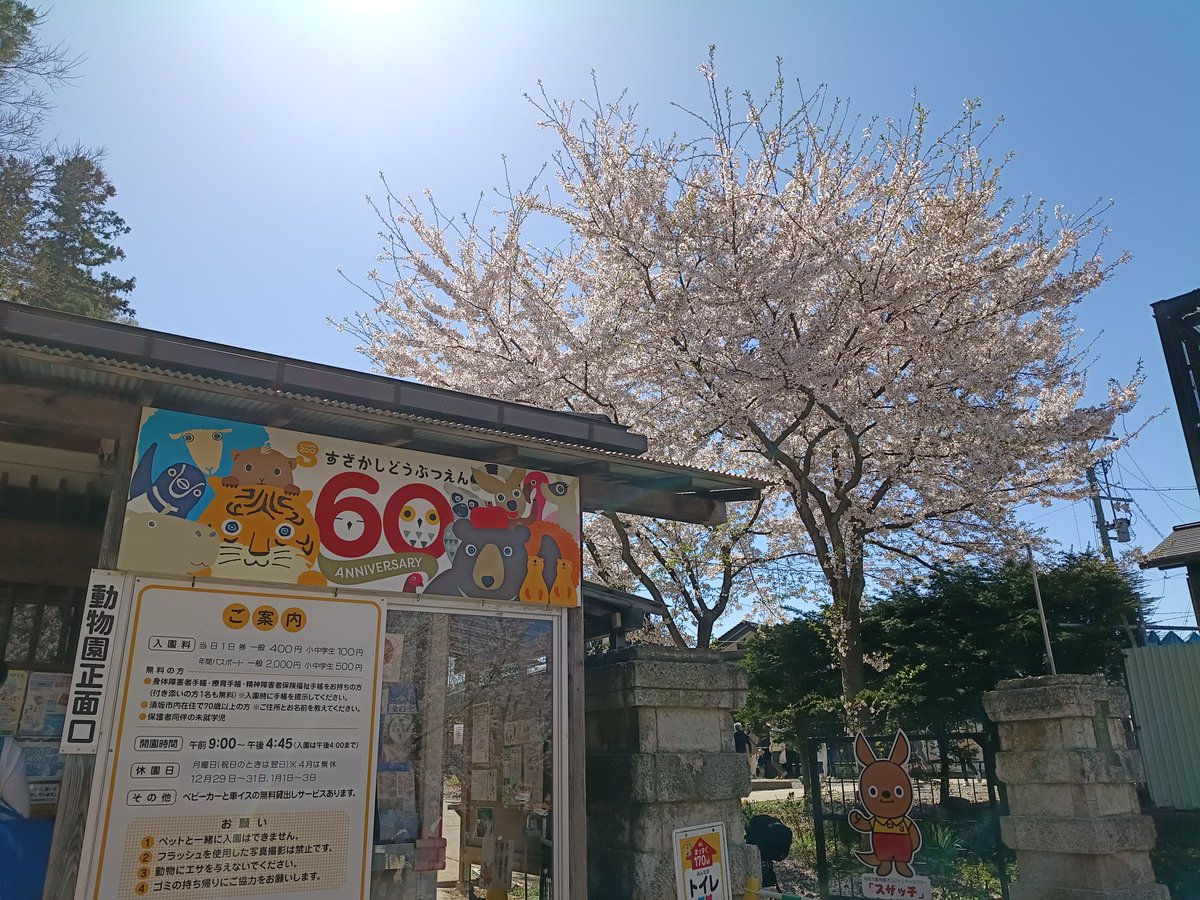 あんじゅまりのす tweet media