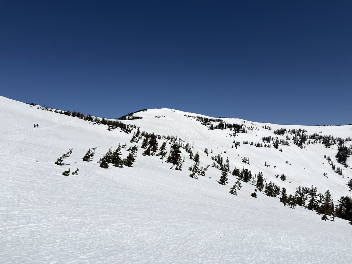 adlife_adder's tweet photo. 会津駒ヶ岳より下山！
久々にしっかり登山した気がする https://t.co/AkclJyVuhe