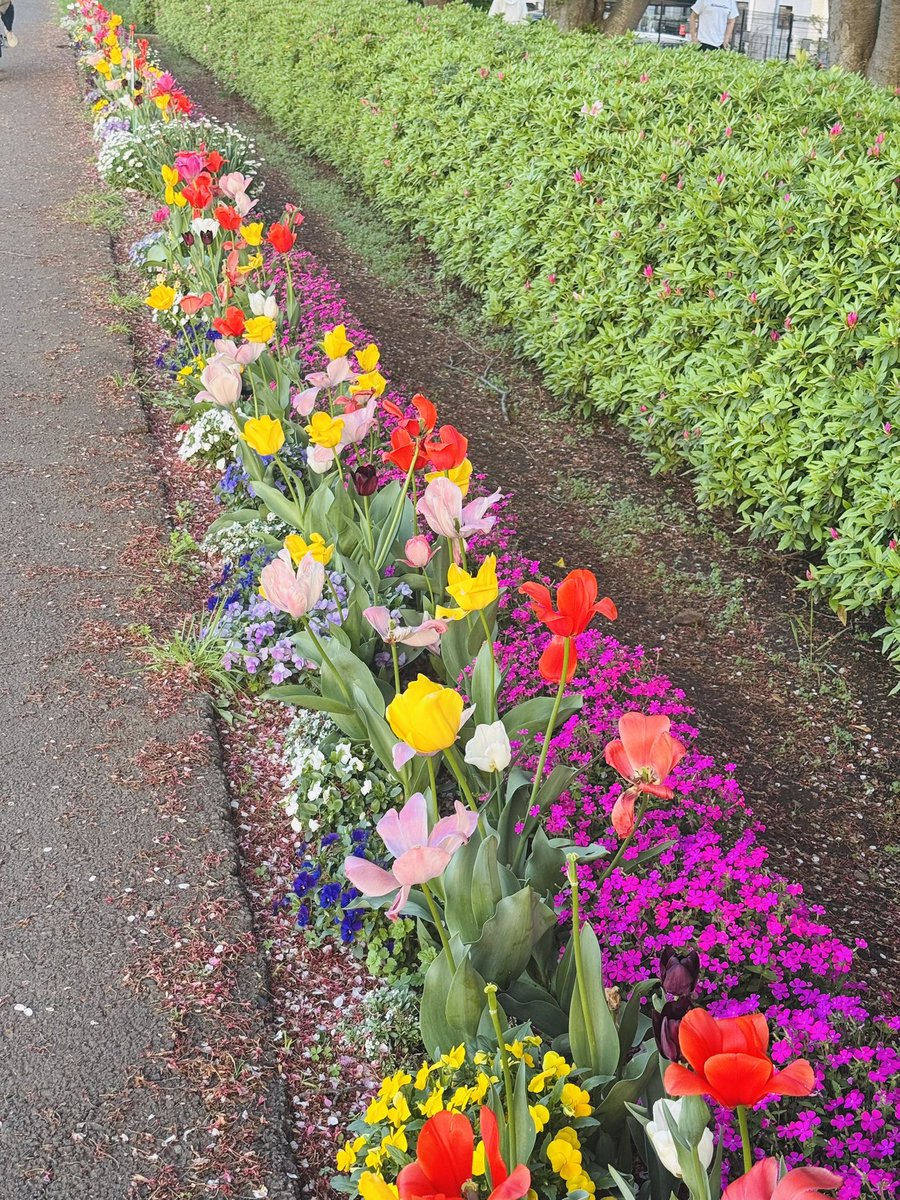 T3/星野夢見 tweet media