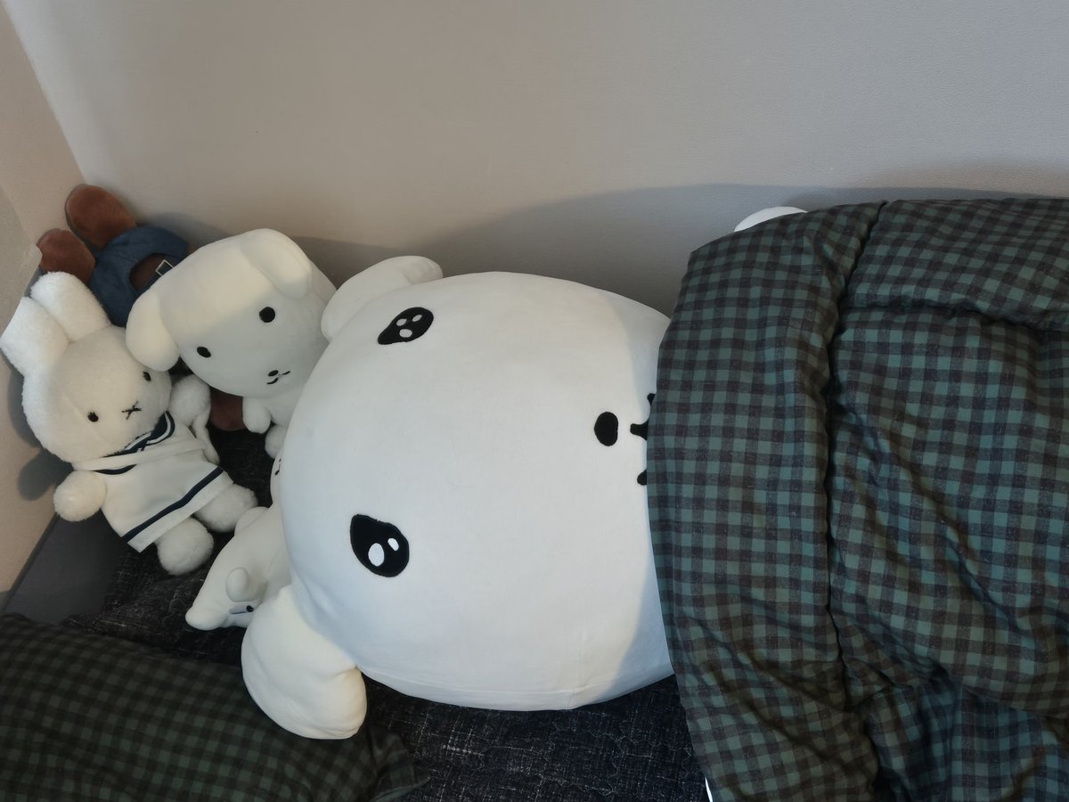 퍄닥이🐥 tweet media