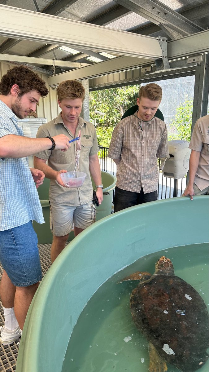 kris 🪩 tweet media