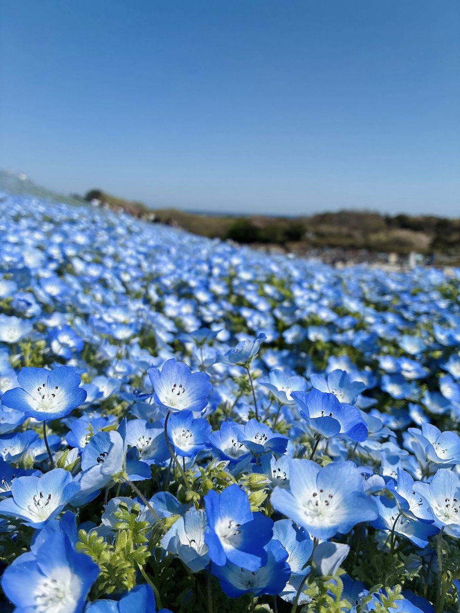 一万両 tweet media